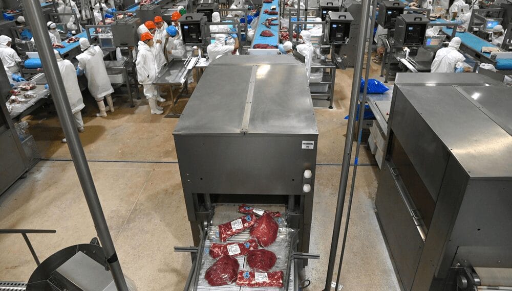 Los precios consolidan su repunte y el aporte de dólares de la carne vacuna crece con fuerza