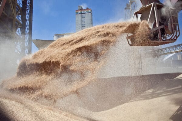 En el mundial de los alimentos Argentina está en el podio, pero crece menos que sus competidores
