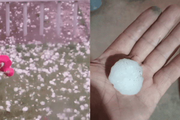 “El Valle de Uco está desprotegido”: el reclamo en Mendoza tras otra fuerte tormenta de granizo