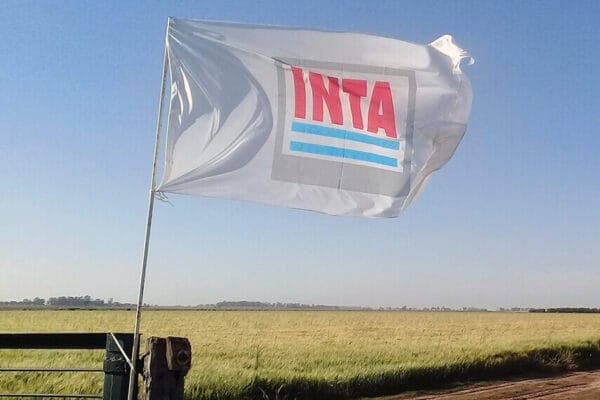 Tras tensos debates y negociaciones, el “plan de modernización” del INTA ya tiene vía libre Tras tensos debates y negociaciones, el “plan de modernización” del INTA ya tiene vía libre