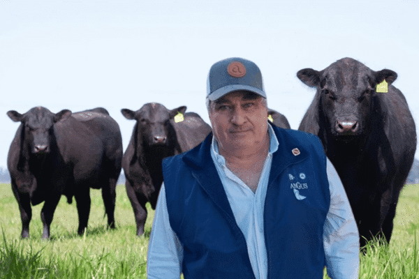 La prueba pastoril Angus celebra sus 25 años: “El mejoramiento genético es una inversión, no un costo”