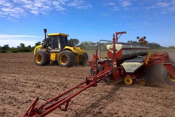 El preocupante bajón de la soja: exceptuando la sequía 2023, tiene los peores márgenes en 7 años