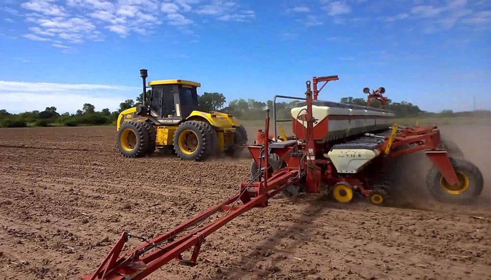 El preocupante bajón de la soja: exceptuando la sequía 2023, tiene los peores márgenes en 7 años