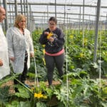 La Junta impulsa el relevo generacional en el campo andaluz con 130 millones de euros para jóvenes agricultores La Junta impulsa el relevo generacional en el campo andaluz con 130 millones de euros para jóvenes agricultores