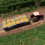 La Estrategia Nacional de Alimentación «es incompatible con el apoyo a acuerdos como Mercosur que destruyen la agricultura y ganadería local» La Estrategia Nacional de Alimentación «es incompatible con el apoyo a acuerdos como Mercosur que destruyen la agricultura y ganadería local»