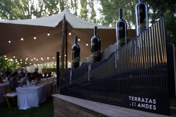 “Los grandes vinos se cultivan, nacen en un viñedo más que en una bodega”