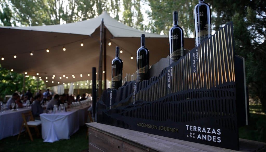 “Los grandes vinos se cultivan, nacen en un viñedo más que en una bodega”