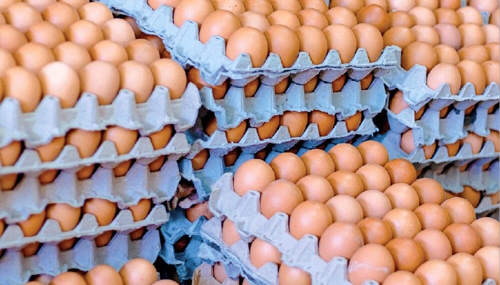 Denuncian un “alarmante crecimiento” en el contrabando de huevos en Argentina