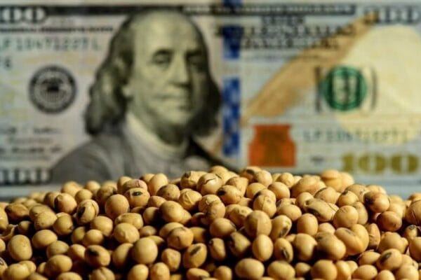 Liquidación de divisas: en noviembre ingresaron otros U$S 2.000 millones, el doble que el año pasado Liquidación de divisas: en noviembre ingresaron otros U$S 2.000 millones, el doble que el año pasado