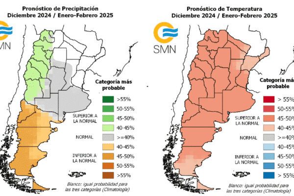 Pronóstico trimestral: el verano viene con mucho calor y lluvias “normales”