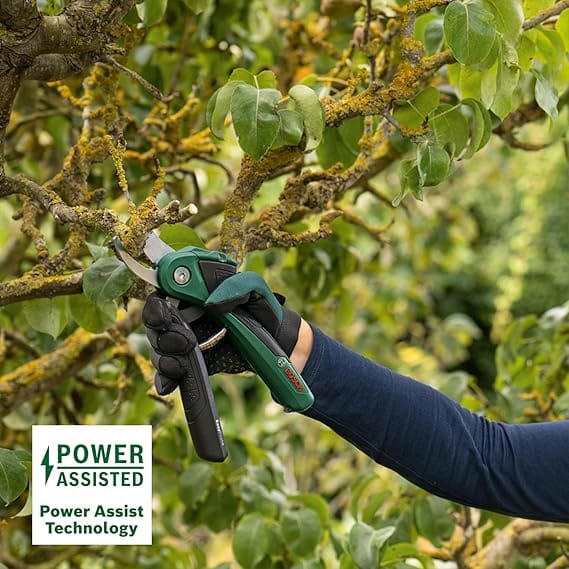 🔹 1. Bosch EasyPrune – 🌿 La Mejor para Jardinería Doméstica