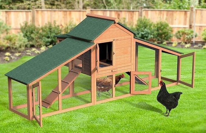 Gallinero innovador: La mejor solución para el bienestar de tus aves