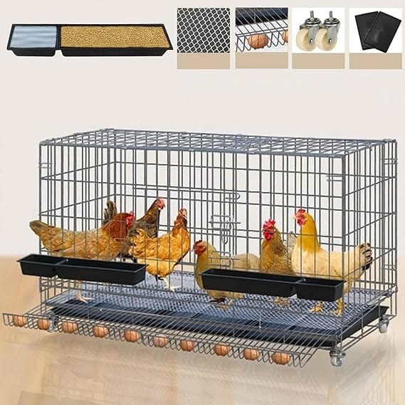 Gallinero económico con bandeja sanitaria y recolector de huevos