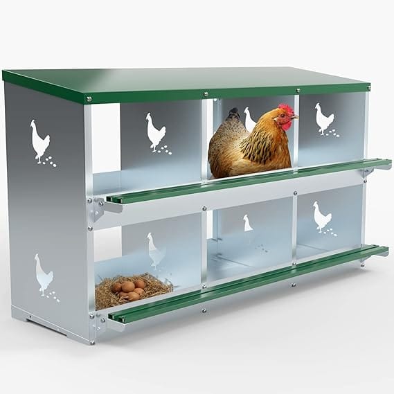 Cajas de metal pesado para la recolección de huevos de gallinas y aves de corral: Guía completa para avicultores