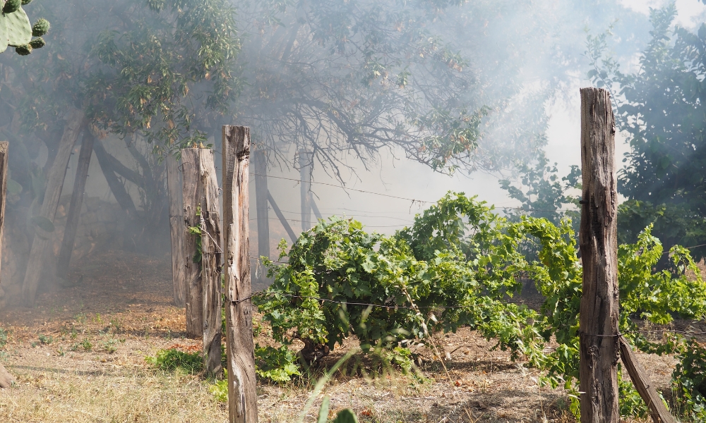 Prevención de incendios y emergencias