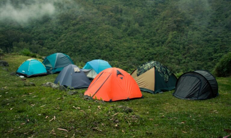 ¿Dónde está permitida la acampada libre? Guía completa para disfrutar de la naturaleza con responsabilidad