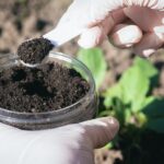 Beneficios de usar fertilizante orgánico en invierno