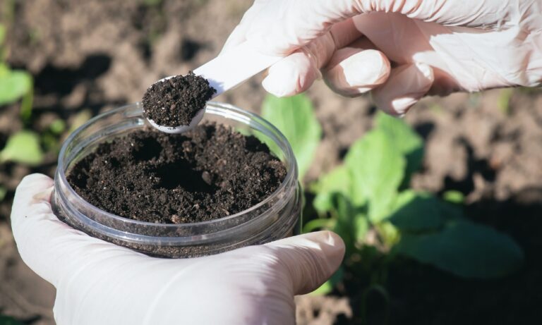 Beneficios de usar fertilizante orgánico en invierno