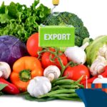 La mejor guía para la exportación española de hortalizas de invierno 2026