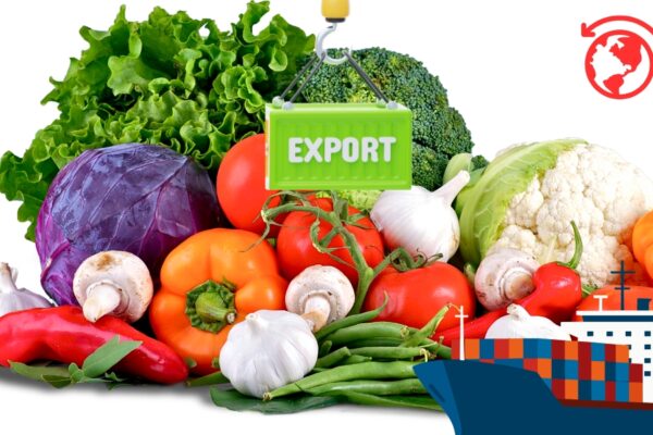 La mejor guía para la exportación española de hortalizas de invierno 2026
