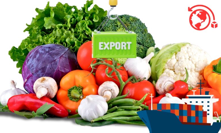 La mejor guía para la exportación española de hortalizas de invierno 2026